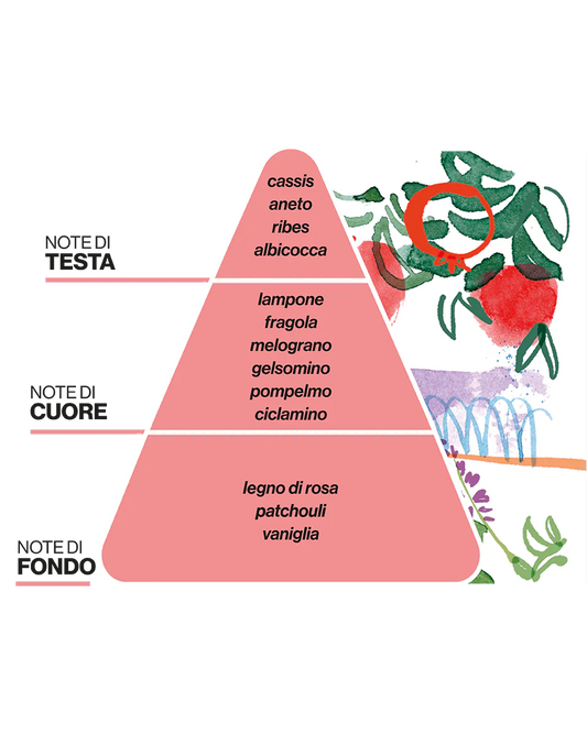 La Terrazza dei Melograni 220ml – Profumatore ambiente – Domea, immagine 2