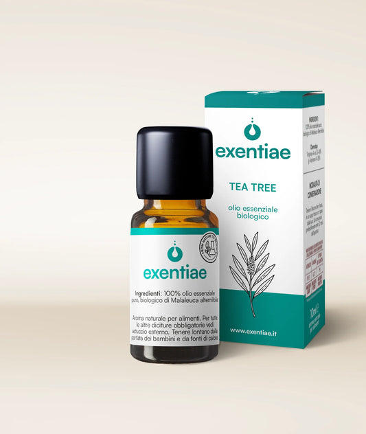 Tea Tree – Olio Essenziale Biologico – Exentiae