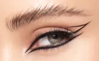 Eyeliner On Fleek Brush Pen