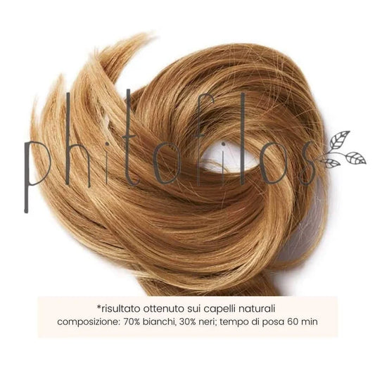 Castano Cannella – Phitofilos
